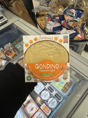 Billede af Pangea Gondino
