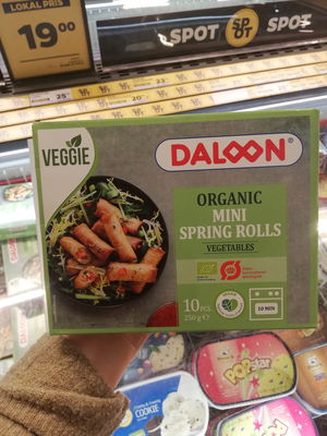 Billede af Daloon Mini Spring Rolls Vegetables